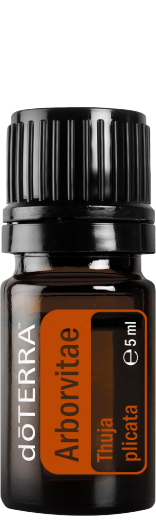 doTERRA Arborvitae essential oil 5 ml bottle